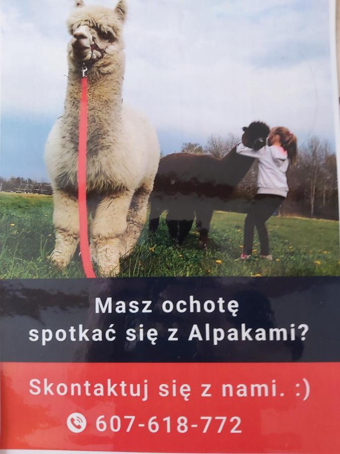 Apartamenty Smaczek Gołdap Exteriér fotografie